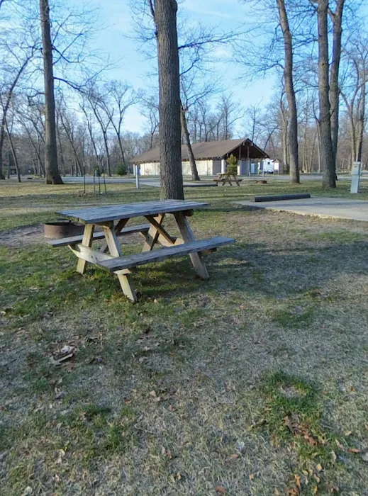 Electric Campground 5