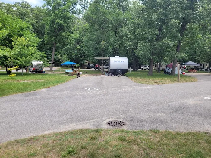 Electric Campground 6