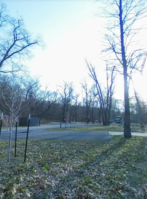 Electric Campground 10