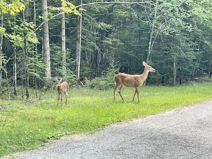 Potawatomi Campground 10