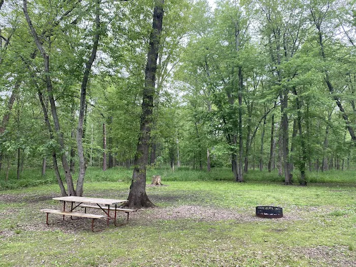 Lake Alexander Campground 8