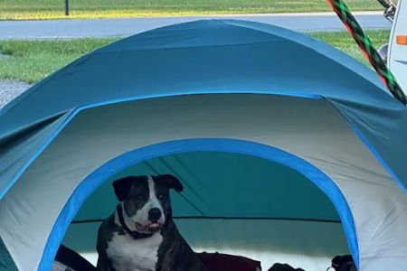 Pine grove campground