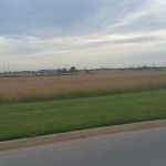 Shady Oaks