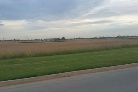 Shady Oaks
