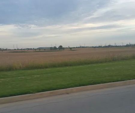 Shady Oaks