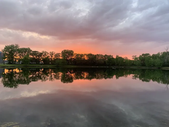 Sycamore RV Resort 2