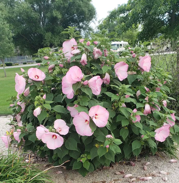 Sycamore RV Resort 8