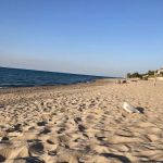 Dunbar Group Campsite