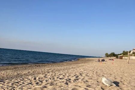 Dunbar Group Campsite