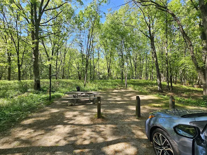 Dunewood Campground 3