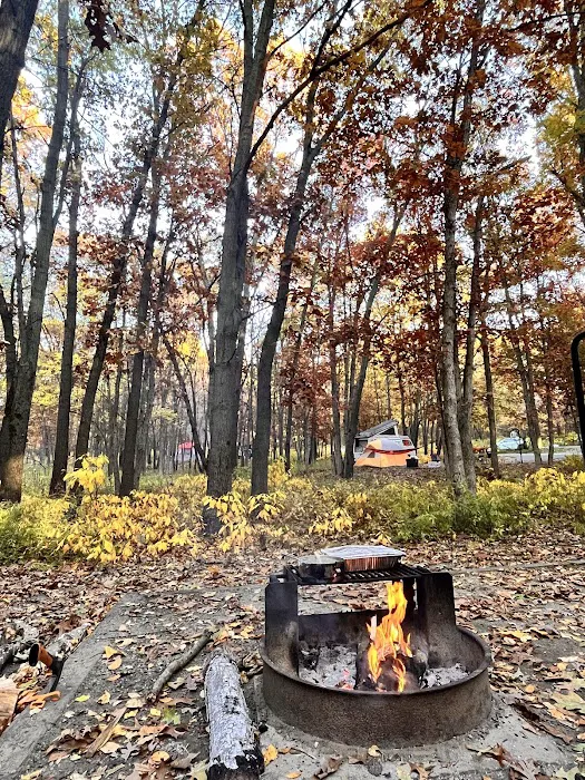 Dunewood Campground 4