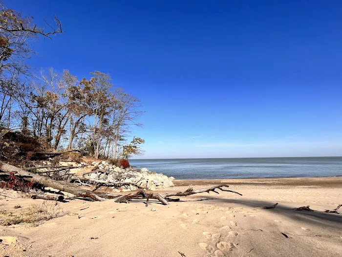 Dunewood Campground 7