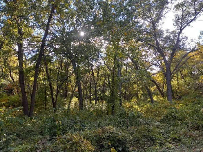 Central Avenue Walk-in Campsites 2