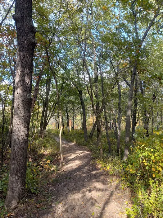 Central Avenue Walk-in Campsites 8