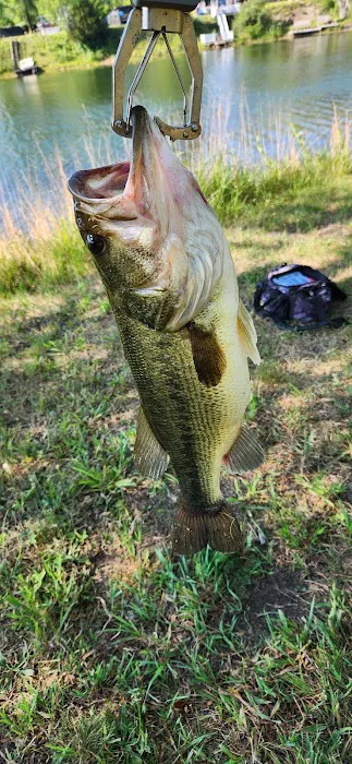 Lakepoint 6