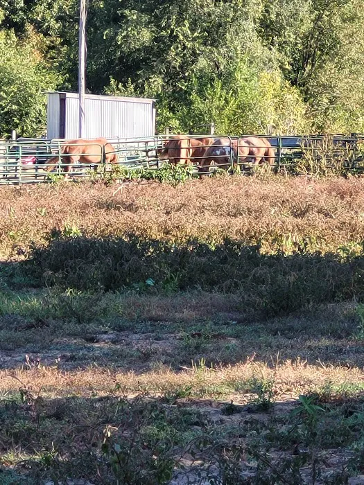 KLos Ranch 8