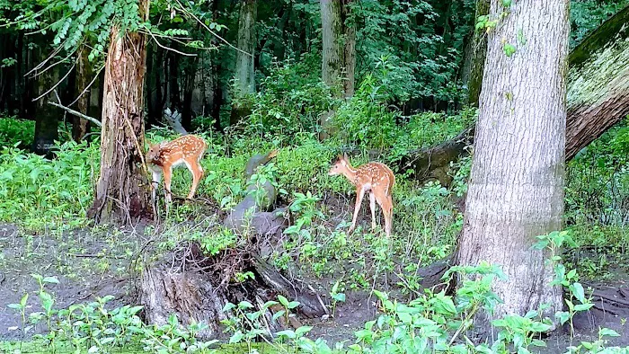 Southern Lake County Conservation Club 2