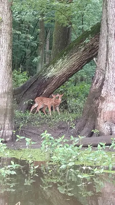 Southern Lake County Conservation Club 6