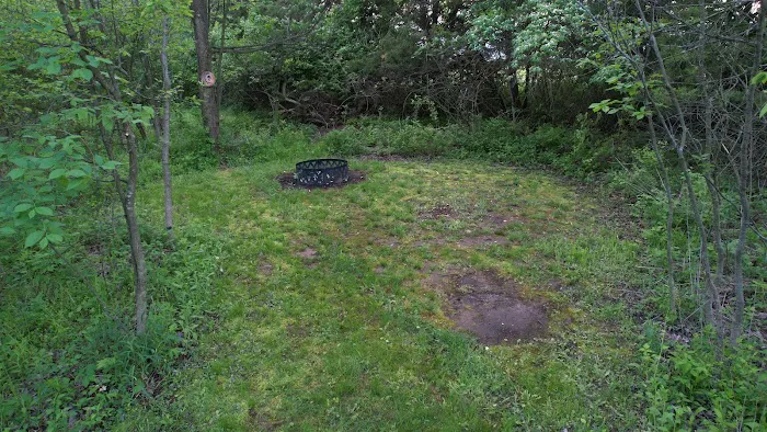 Angel Creek Campground 8
