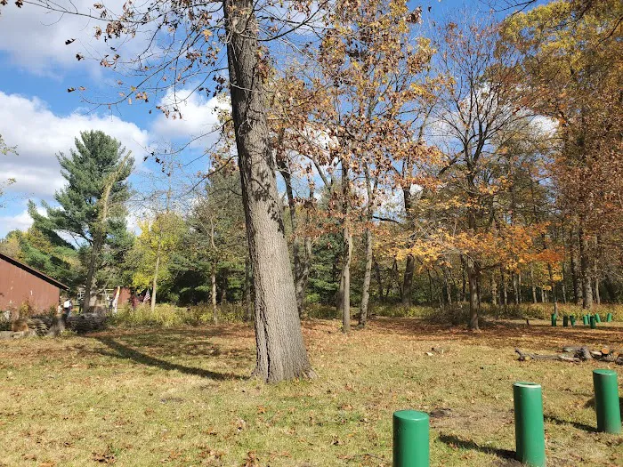 Rainbow Scout Reservation 5