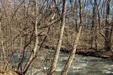 Indian Creek Ranch Camping