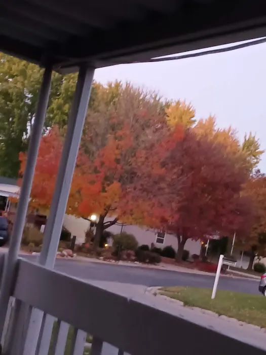 Greenview Estates 5
