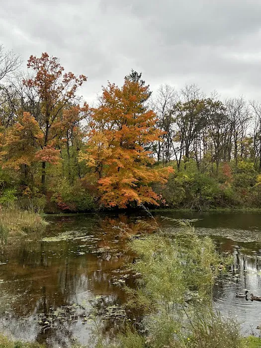 Hickory Hills 5