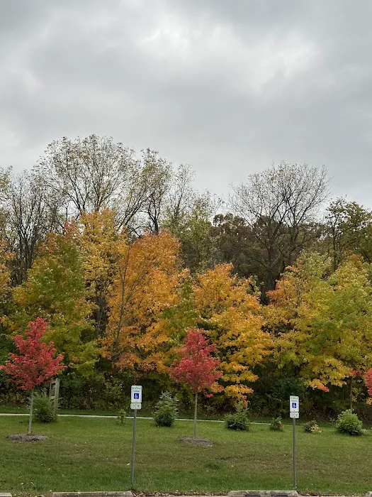 Hickory Hills 8