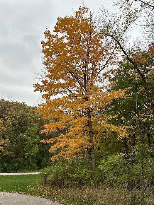 Hickory Hills 9