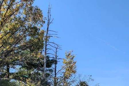 Rock Cut State Park Campground Permit Office