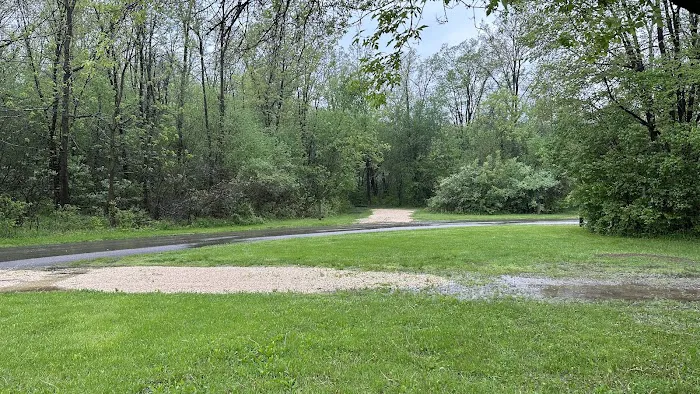 White Oak 1