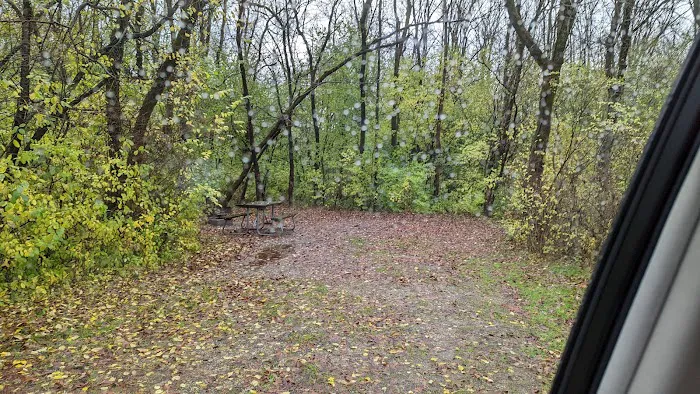 White Oak 3