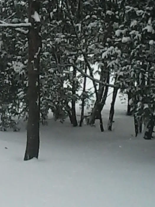 Creek Ridge 1