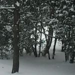 Creek Ridge