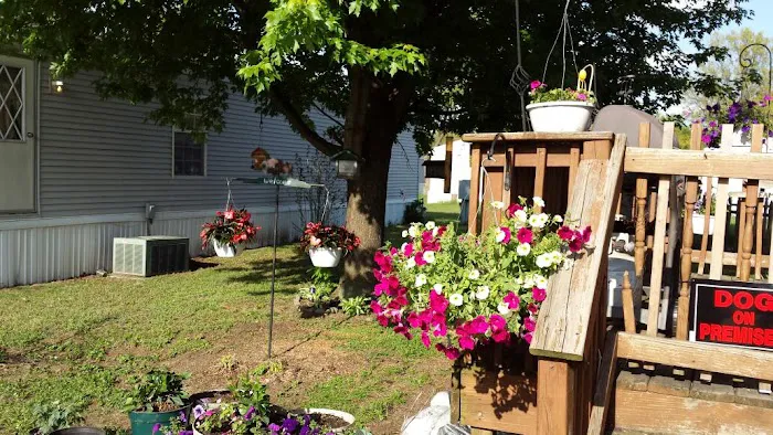 Island Grove Manufactured Home Community 3