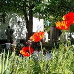 Willow Run RV Condo Association