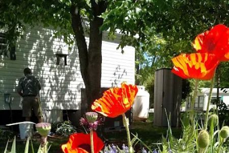 Willow Run RV Condo Association