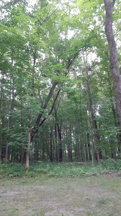 Hononegah Forest Preserve Campground 1