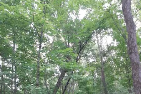Hononegah Forest Preserve Campground
