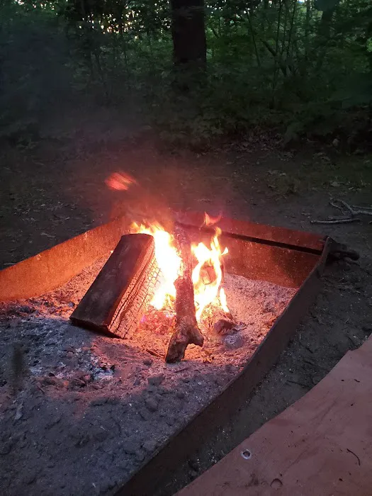 Hononegah Forest Preserve Campground 9