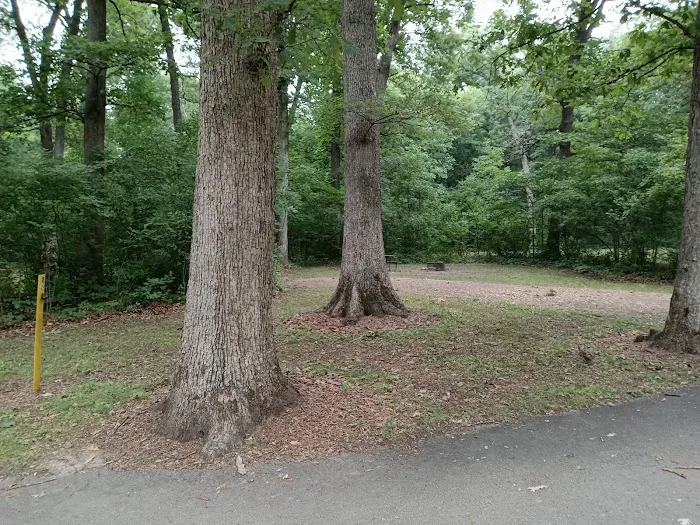 White Oak Campground 4