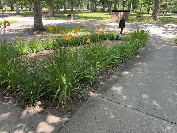 Lowden State Park Campground 8