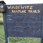 W. R. Wadewitz Nature Camp