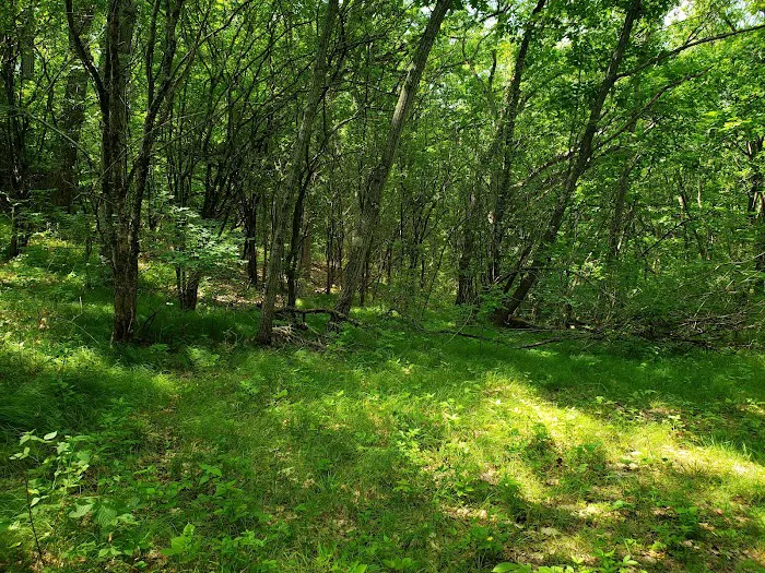 Scenic Ridge Campground 8