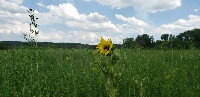 Whitewater Lake Campground 5