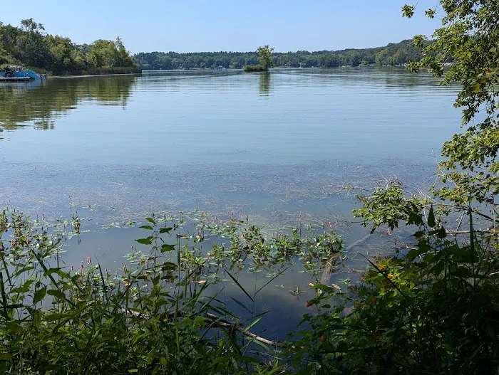 Whitewater Lake Campground 4