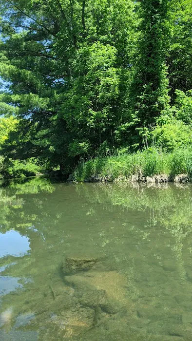 Sunny Crest Family Campground 4