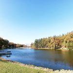 Woodhaven Lakes