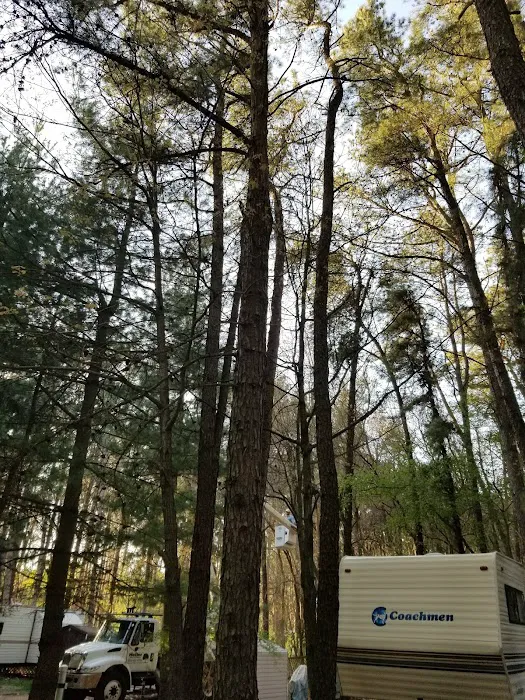 Pine View Campground 10
