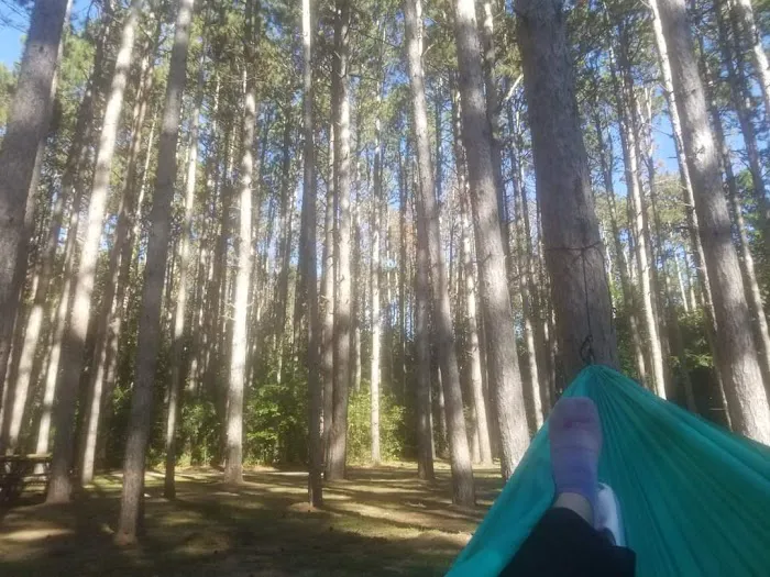 Pine View Campground 3